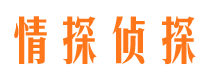 莱西侦探